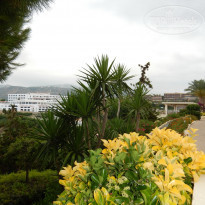 фото из отзыва ID 1666520