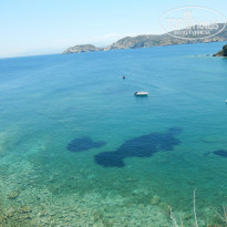 фото из отзыва ID 1666520