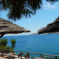 фото из отзыва ID 1666520