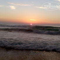 фото из отзыва ID 1666525