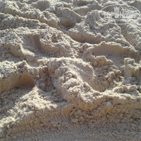 фото из отзыва ID 1666563