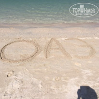 фото из отзыва ID 1666658