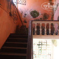 фото из отзыва ID 1666725