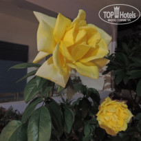 фото из отзыва ID 1666940