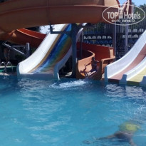 фото из отзыва ID 1666958