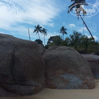 фото из отзыва ID 1666976