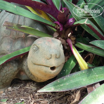 фото из отзыва ID 1666976