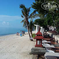 фото из отзыва ID 1666976