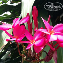 фото из отзыва ID 1666976