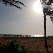 фото из отзыва ID 1667099