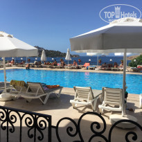 фото из отзыва ID 1667151