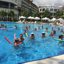 фото из отзыва ID 1667177