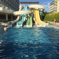 фото из отзыва ID 1667238