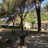 фото из отзыва ID 1667283