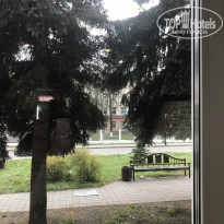 фото из отзыва ID 1667286