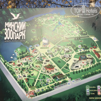 фото из отзыва ID 1667286