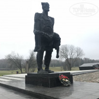 фото из отзыва ID 1667286