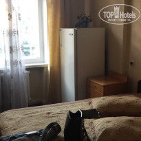 фото из отзыва ID 1667355