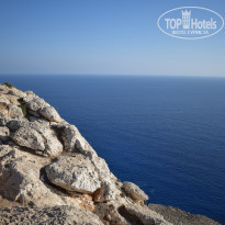 фото из отзыва ID 1667378