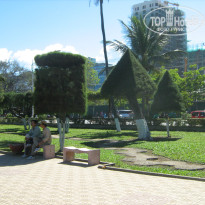 фото из отзыва ID 1667440