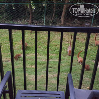 фото из отзыва ID 1667552