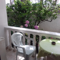 фото из отзыва ID 1667631