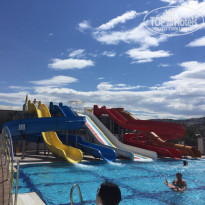 фото из отзыва ID 1667748