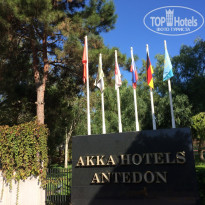 фото из отзыва ID 1667756