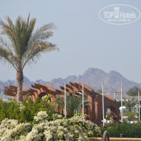 фото из отзыва ID 1667842