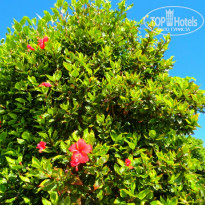 фото из отзыва ID 1667930