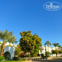 фото из отзыва ID 1667930