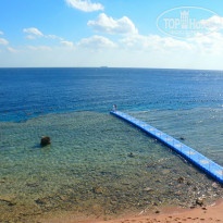 фото из отзыва ID 1667930