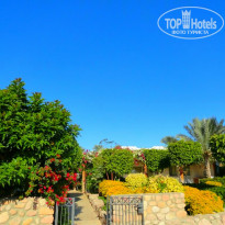 фото из отзыва ID 1667930