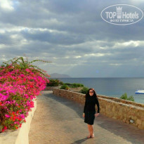 фото из отзыва ID 1667930