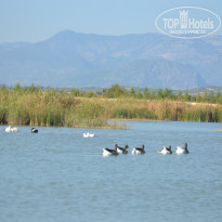 фото из отзыва ID 1667892