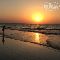 фото из отзыва ID 1668101