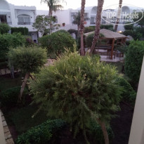 фото из отзыва ID 1667693