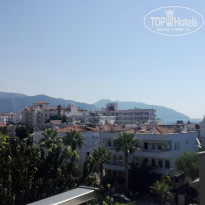 фото из отзыва ID 1668589