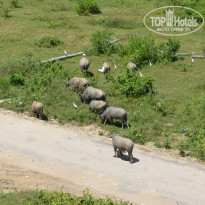 фото из отзыва ID 1668768