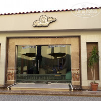 фото из отзыва ID 1668850