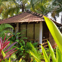 фото из отзыва ID 1668918