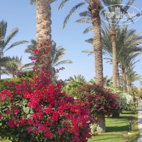 фото из отзыва ID 1668948