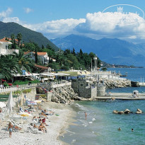 фото из отзыва ID 1669051