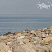 фото из отзыва ID 1669087