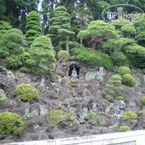 фото из отзыва ID 1669133