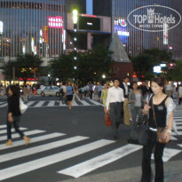 фото из отзыва ID 1669133