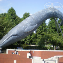 фото из отзыва ID 1669133