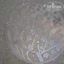 фото из отзыва ID 1669133