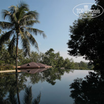 фото из отзыва ID 1669157