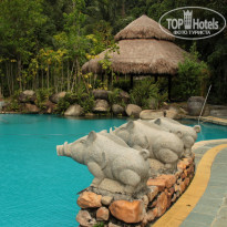 фото из отзыва ID 1669157